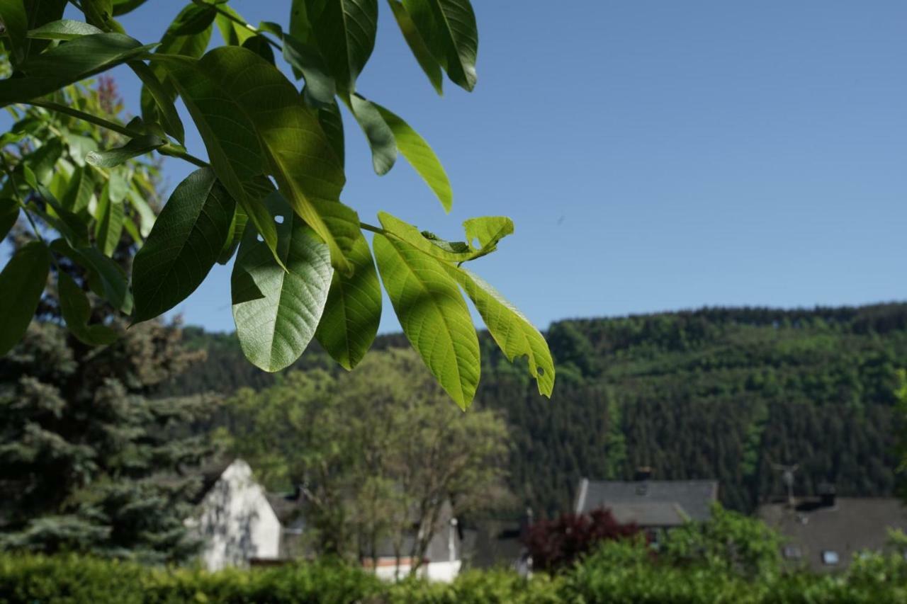 Ferienwohnungen Christina Traben-Trarbach Exterior foto